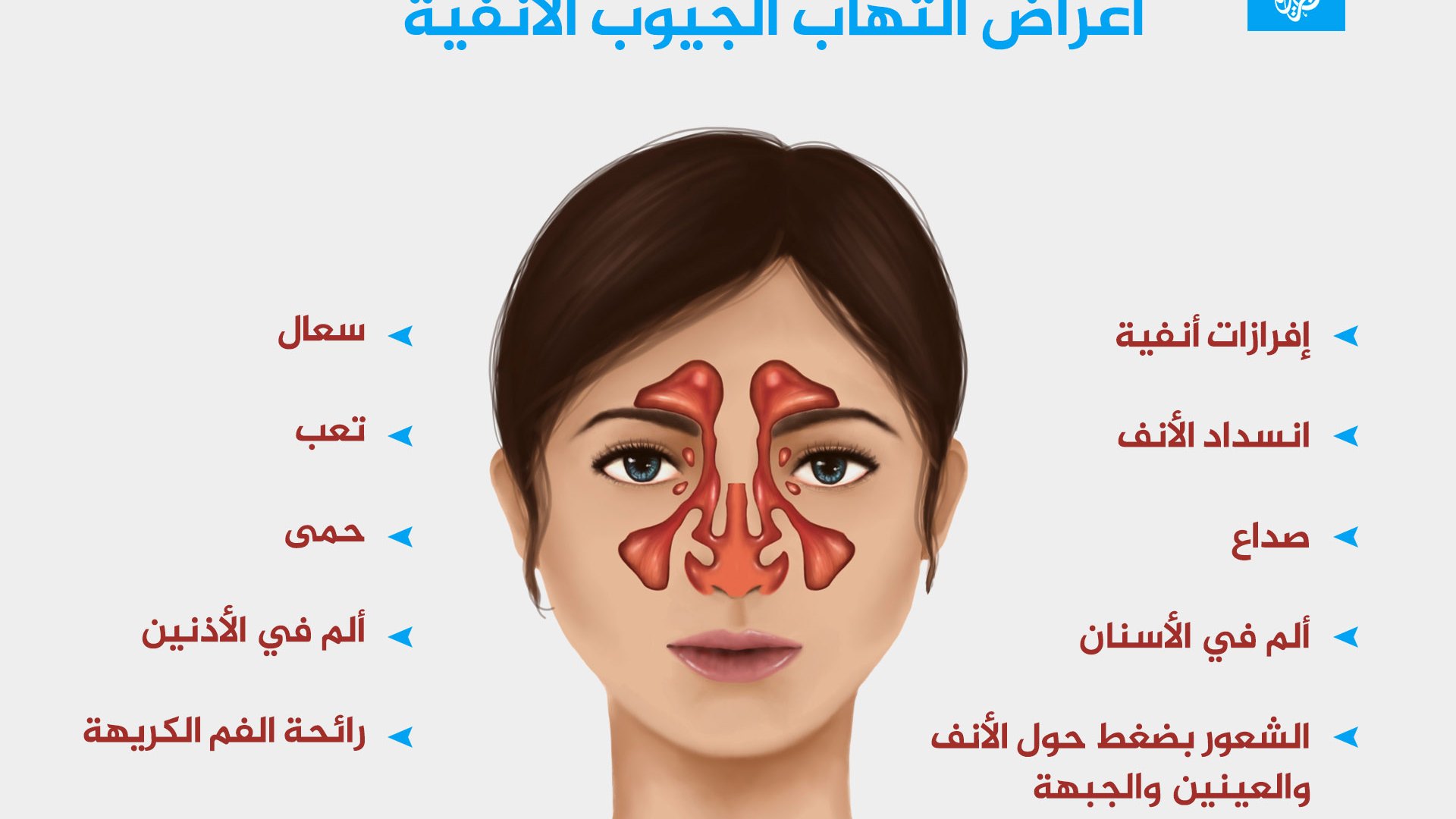 علاج الجيوب الأنفية وتخفيف اعراض صداع الجيوب الأنفية 2 الجيوب